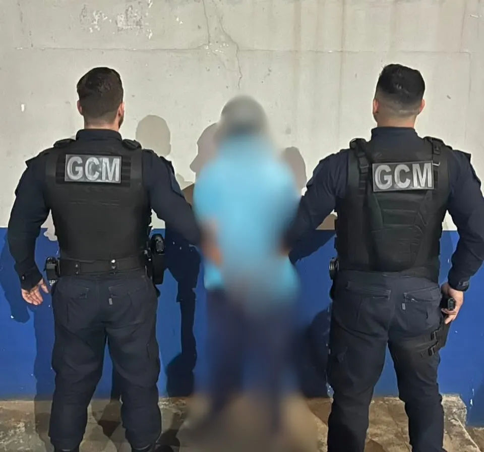 Homem é preso após agredir cachorro e ameaçar idosa em Jaguariaíva