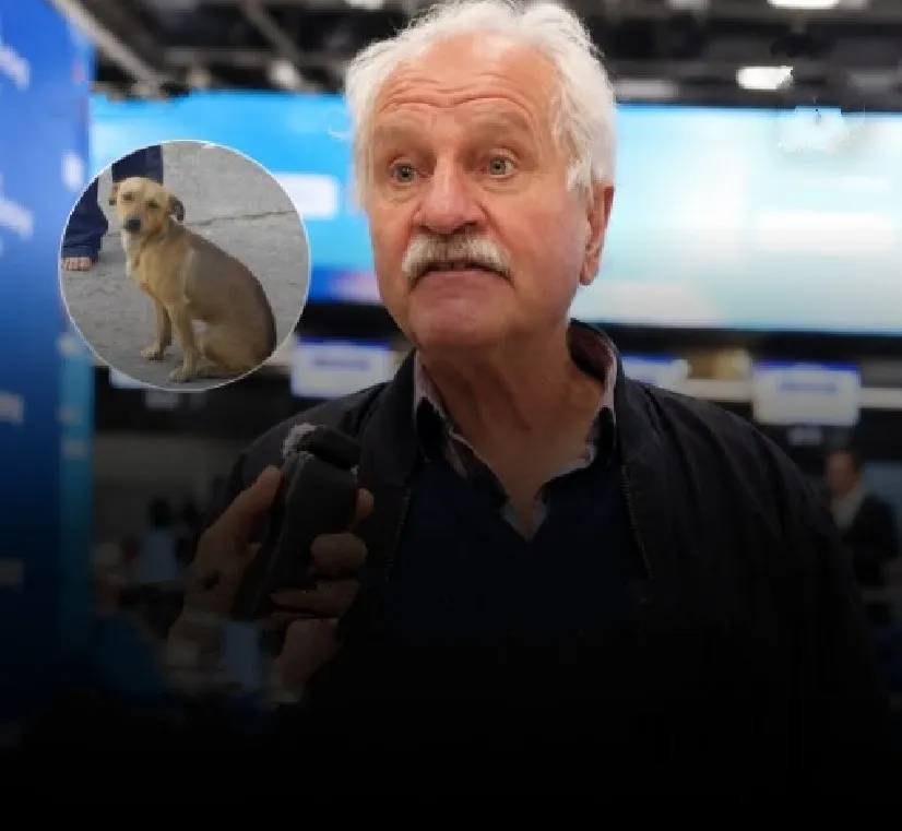 “Entre Lula e um cachorro, eu votaria no cachorro”, diz homem após afirmar que “não temos opções boas”