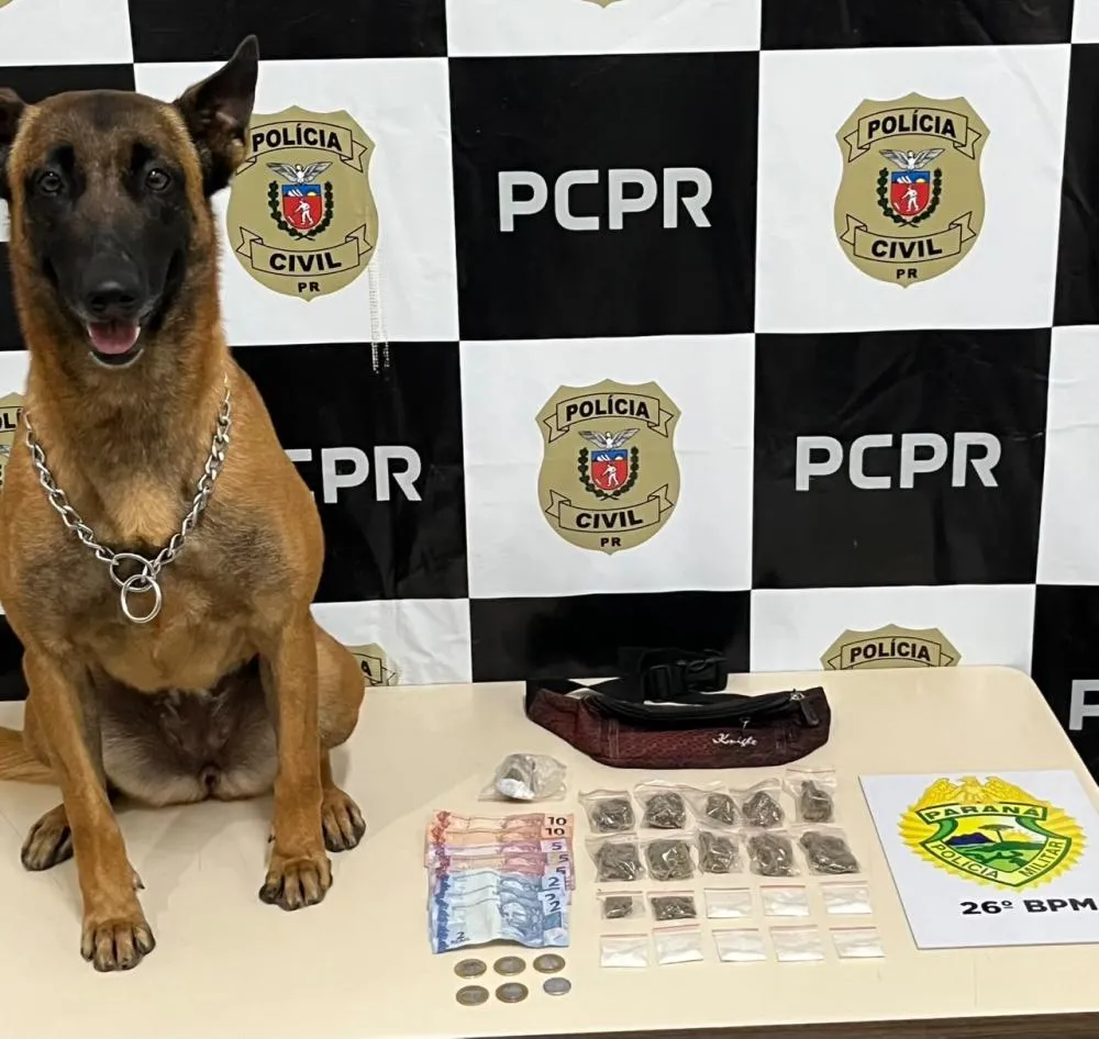 Polícia Militar desarticula ponto de tráfico e prende quatro pessoas em Telêmaco Borba