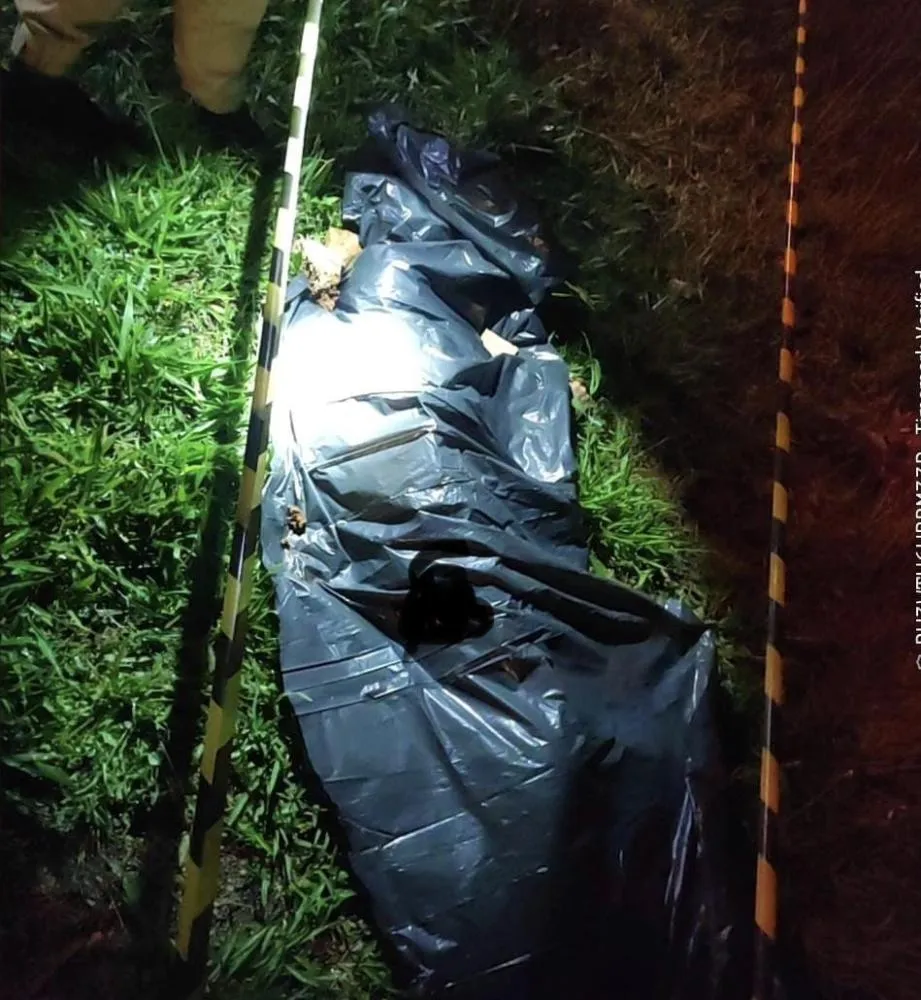Pedestre morre após ser atropelado em Piraí do Sul